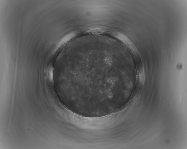 X0000090910046200708131421