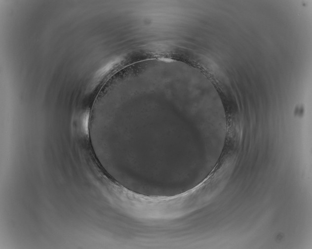 X0000090910047200708131421