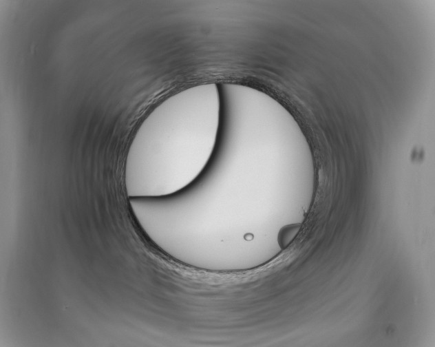 X0000090910048200708131421