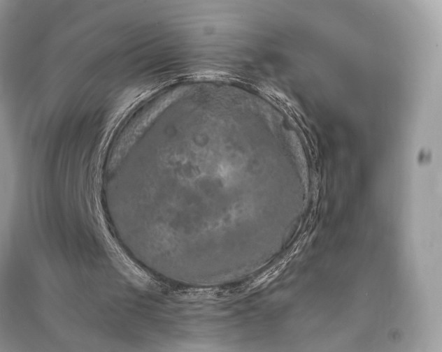 X0000090910049200708131420