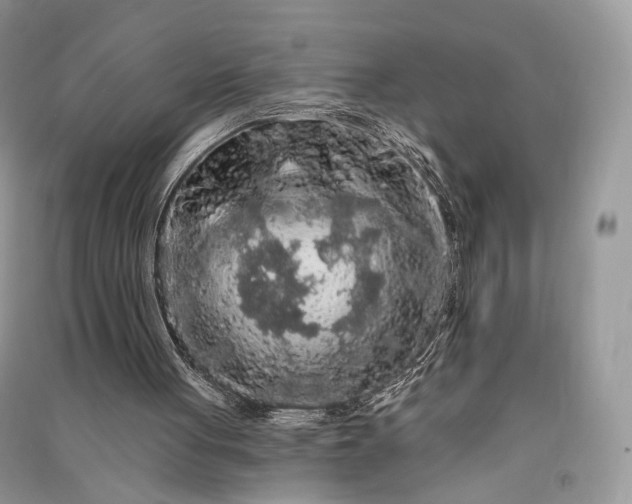 X0000090910051200708131420