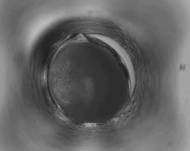 X0000090910052200708131420