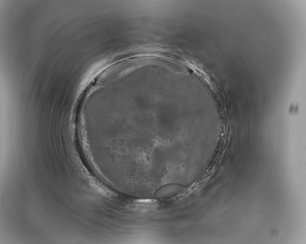 X0000090910053200708131420