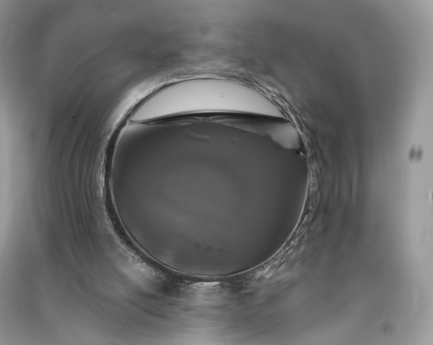 X0000090910054200708131420