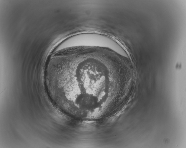 X0000090910055200708131420