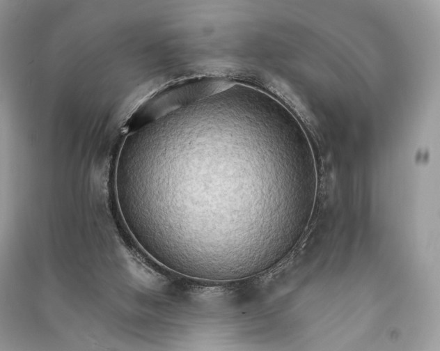 X0000090910058200708131420