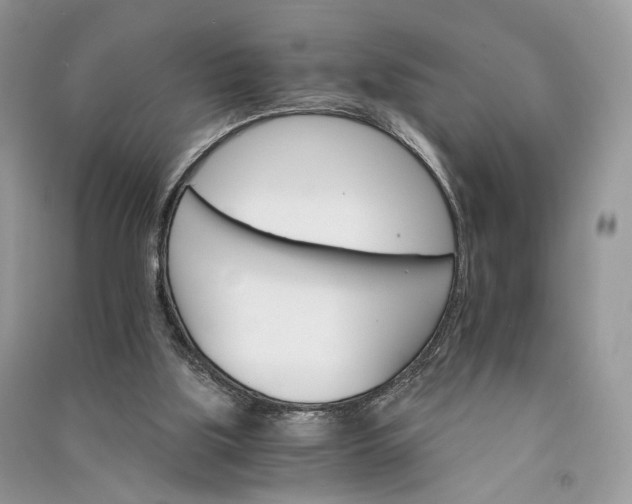 X0000090910059200708131420