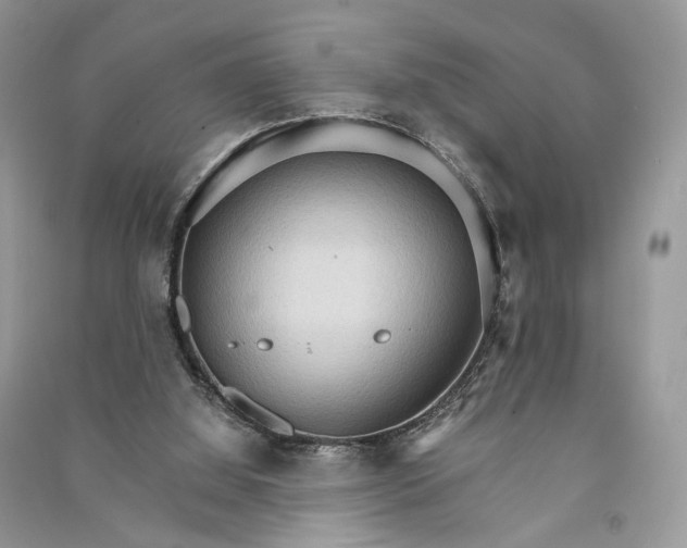 X0000090910060200708131420