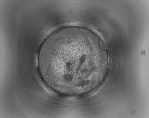 X0000090910061200708131420