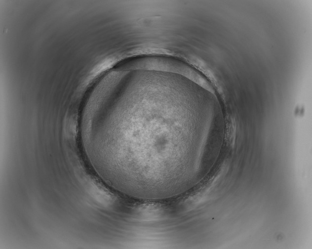 X0000090910063200708131420