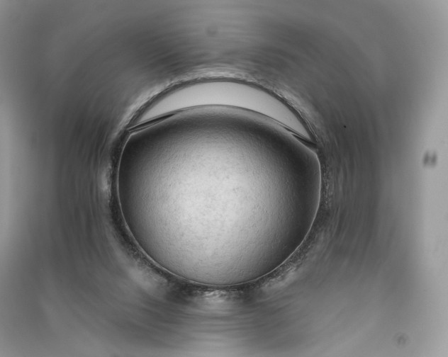 X0000090910064200708131420