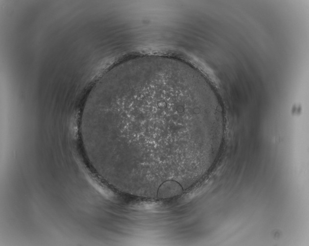 X0000090910065200708131420