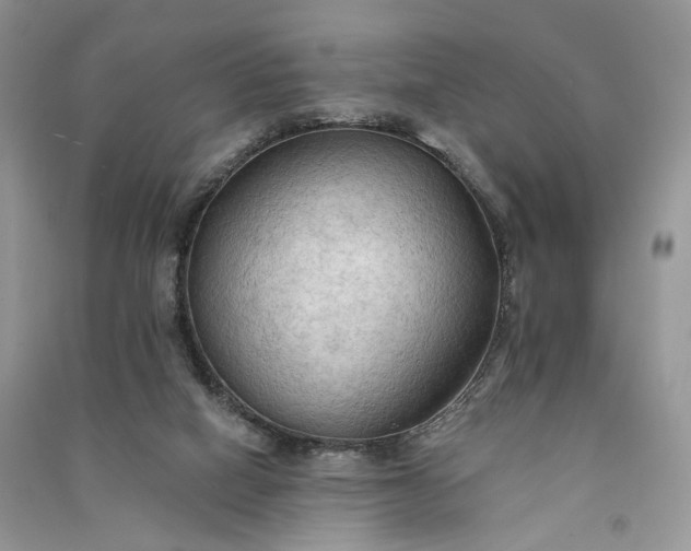 X0000090910066200708131420