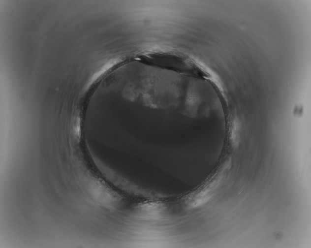 X0000090910067200708131420