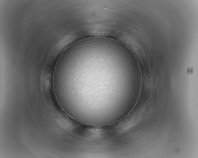 X0000090910071200708131420