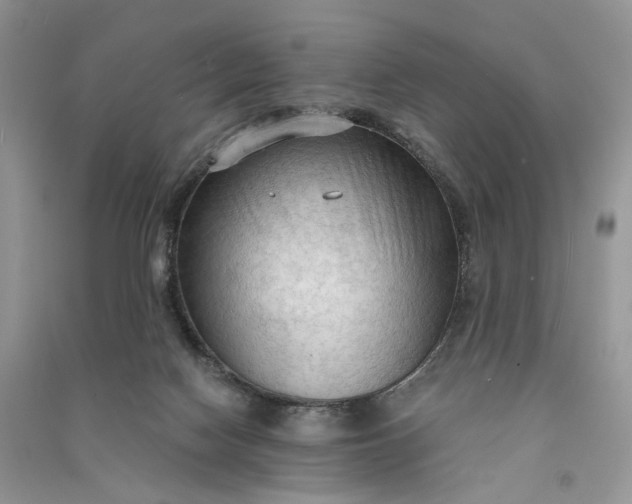 X0000090910074200708131420