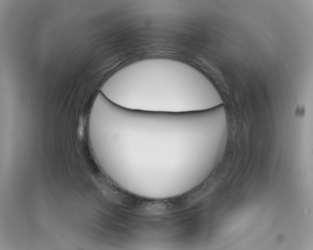 X0000090910075200708131420