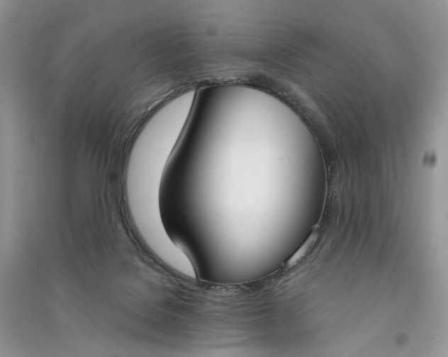 X0000090910076200708131420