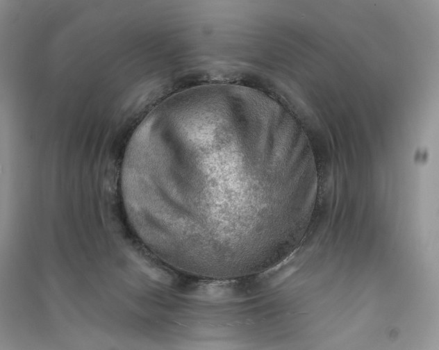 X0000090910078200708131420