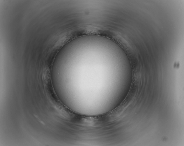 X0000090910079200708131420