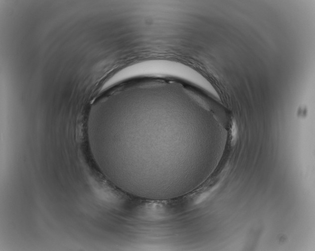 X0000090910080200708131420