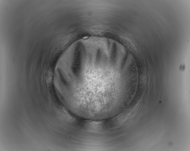 X0000090910081200708131420