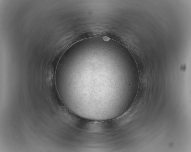 X0000090910082200708131420