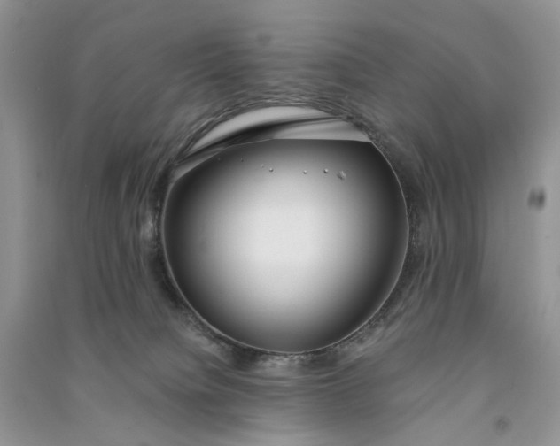 X0000090910084200708131420