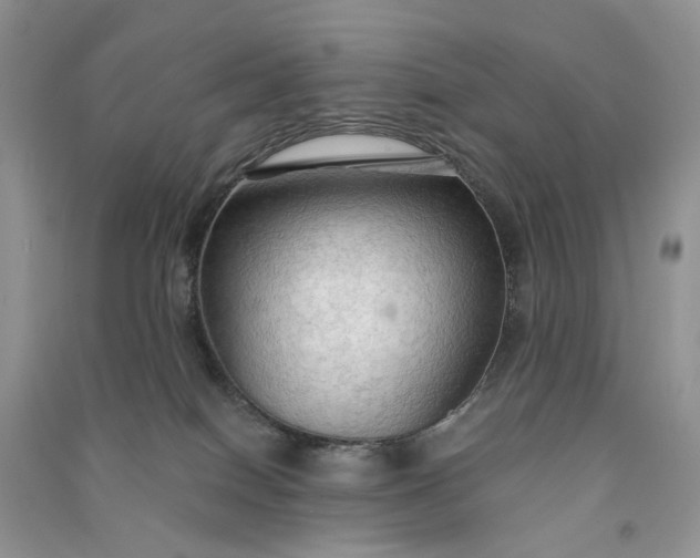 X0000090910086200708131421