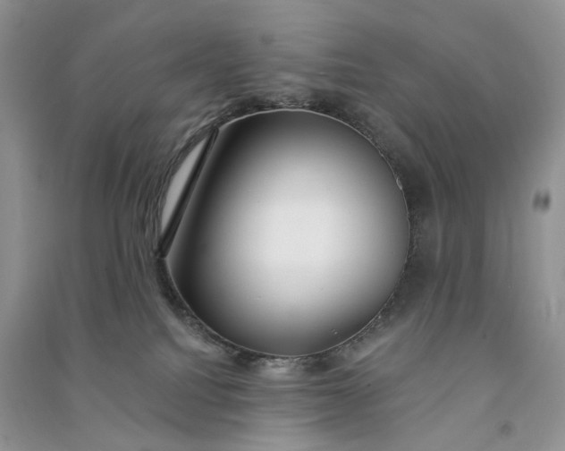 X0000090910088200708131421