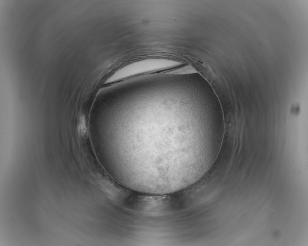 X0000090910089200708131421