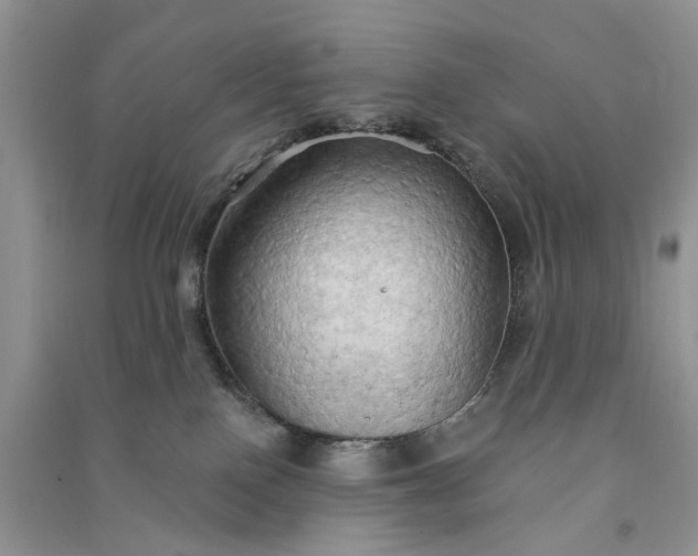 X0000090910090200708131421