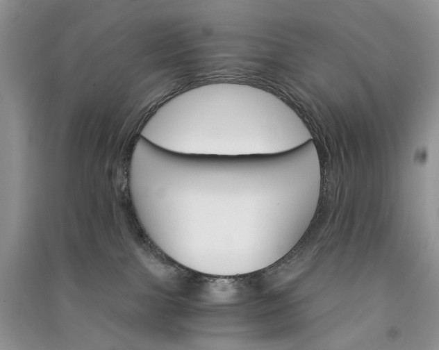 X0000090910091200708131421