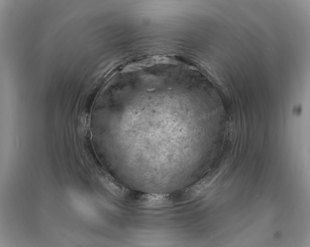 X0000090910093200708131421