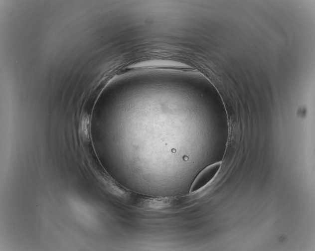 X0000090910094200708131421