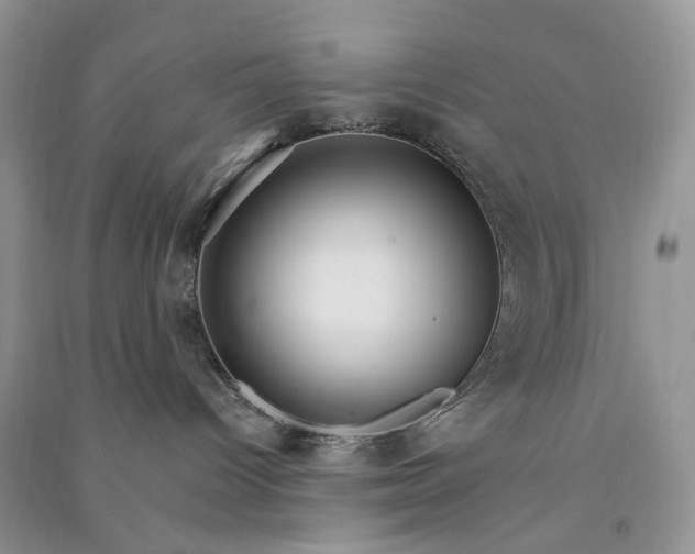 X0000090910096200708131421