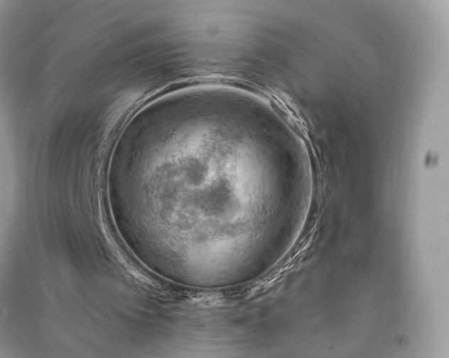 X0000090910097200708131420