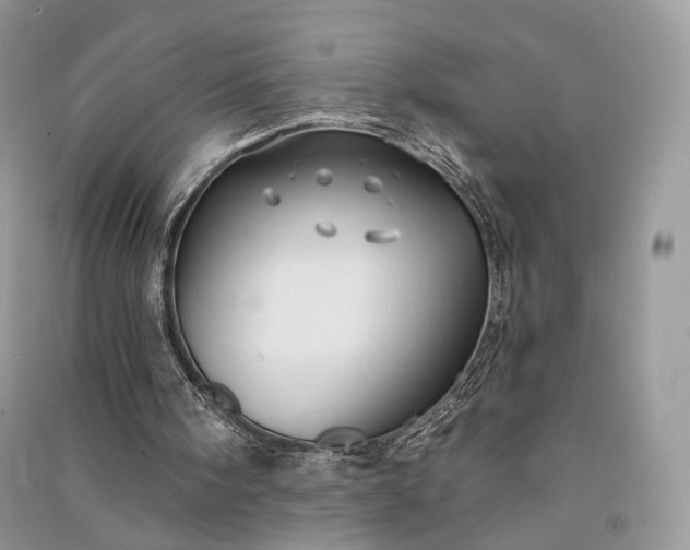 X0000090910098200708131420