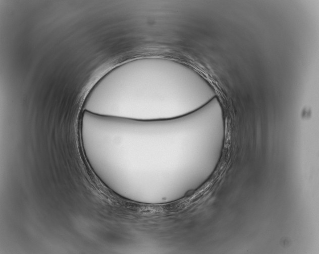 X0000090910099200708131420