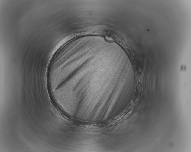 X0000090910100200708131420