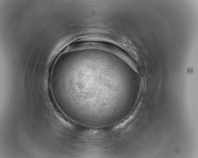 X0000090910101200708131420