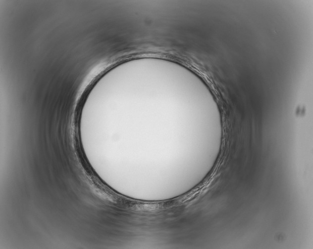 X0000090910102200708131420