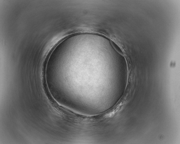 X0000090910103200708131420