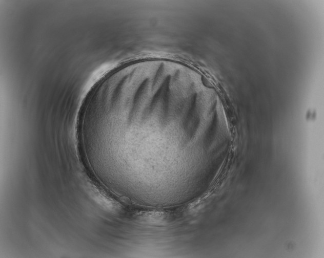 X0000090910104200708131420