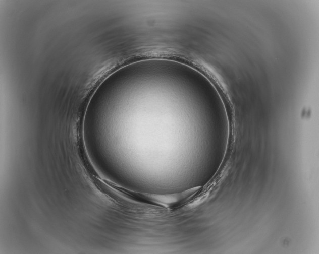 X0000090910105200708131420