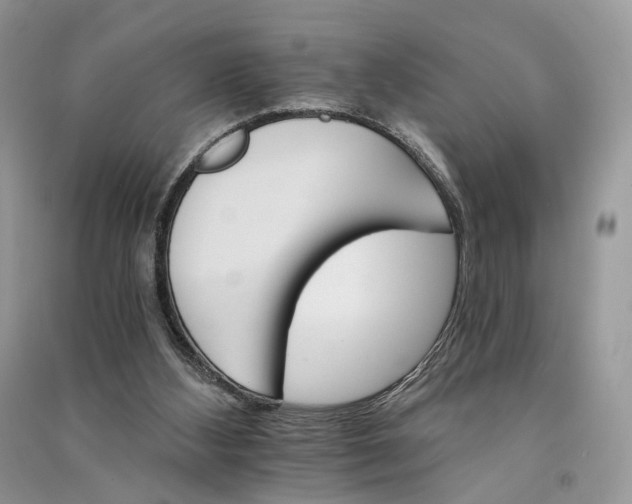 X0000090910108200708131420