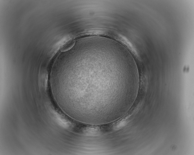 X0000090910110200708131420