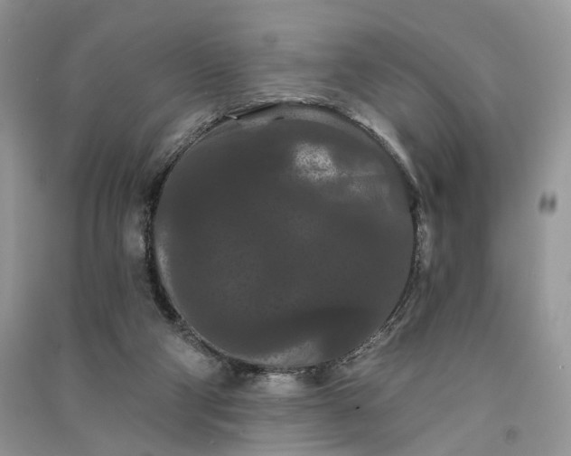 X0000090910114200708131420