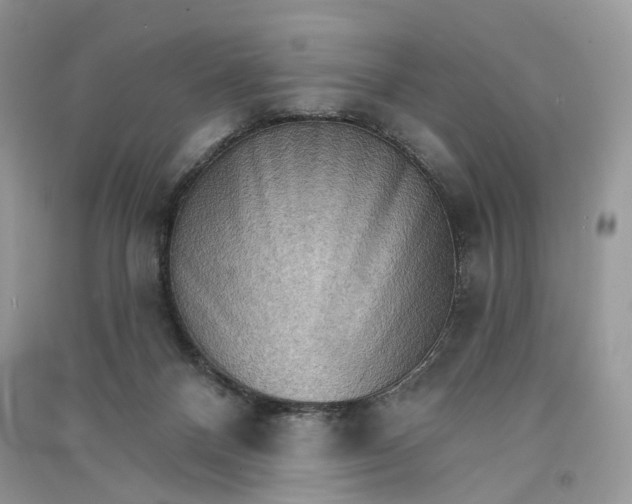 X0000090910120200708131420