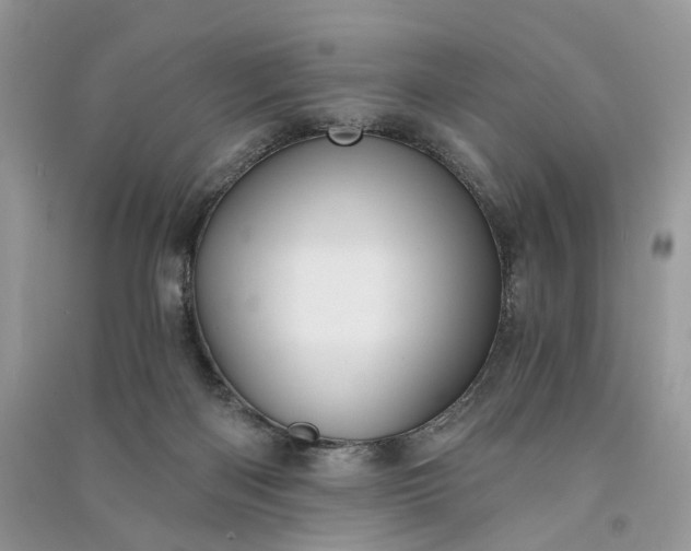 X0000090910122200708131420